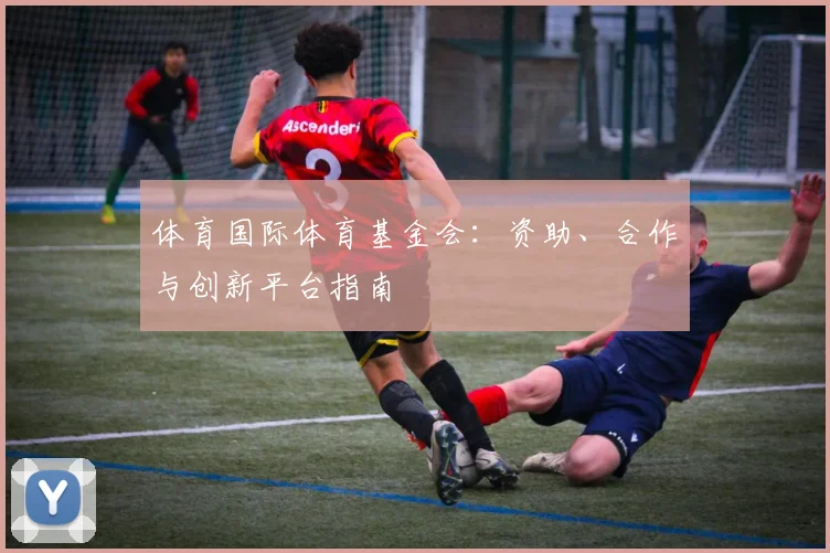体育国际体育基金会：资助、合作与创新平台指南