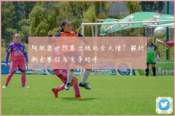阿联酋世预赛出线机会大增？解析剩余赛程与竞争对手
